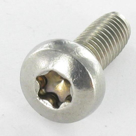 1 x Vite Autofilettante Testa Cilindrica Bombata T25 M5X16 Acciaio Inox A2