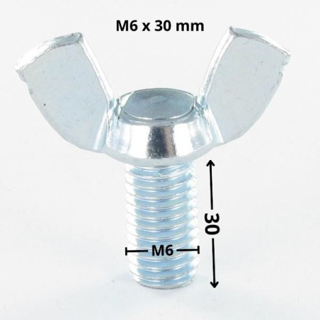 1 x Vite Alette M6X30 Stile Americano Zincate