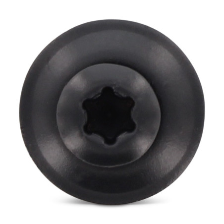 1 x Vite di cresta Testa Forata Bombata T20 Acciaio Inox A2 Ral7016 Grigio Antracite 4,5X120RD.EPDM