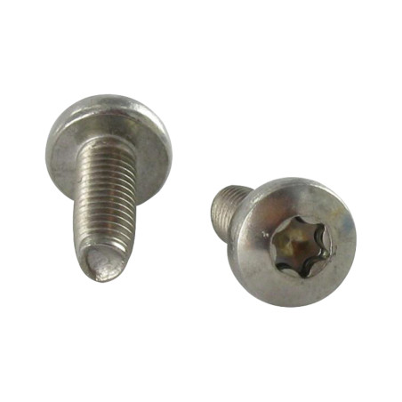 1 x Vite Autofilettante Testa Cilindrica Bombata T20 M4X8 Acciaio Inox A2