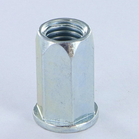 1 x Dadi Rivettabili Esagonale Testa Piatta M5X12 ACPTH 30 Zincate