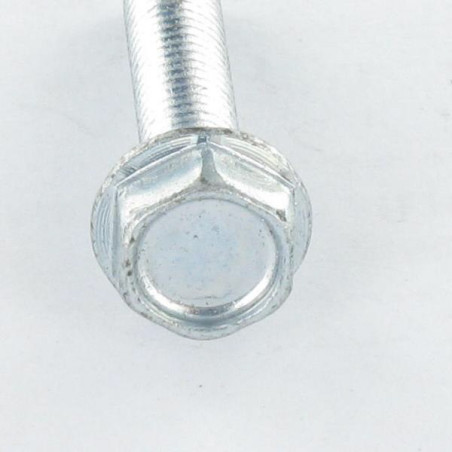 1 x Vite Autofilettante Testa Esagonale Flangia Liscio M5X16 Zincate