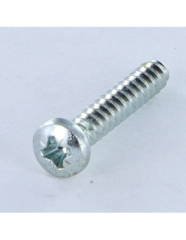 1 x Vite Per Pvc Testa Cilindrica Pozy 4,2 x 1"...