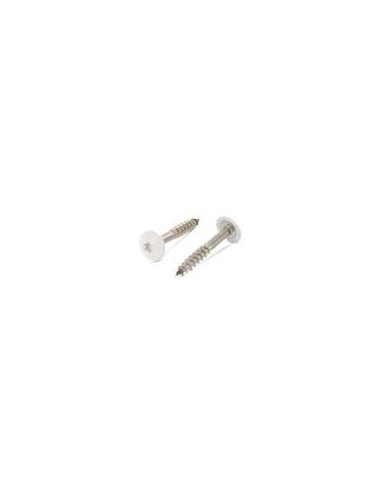 1 x Vite per facciata T20 4,8 x 38 Diametro...