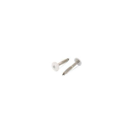1 x Vite per facciata T20 4,8 x 38 Diametro Della Testa: 12.3 Acciaio Inox A2 Ral1013 Bianco Perla
