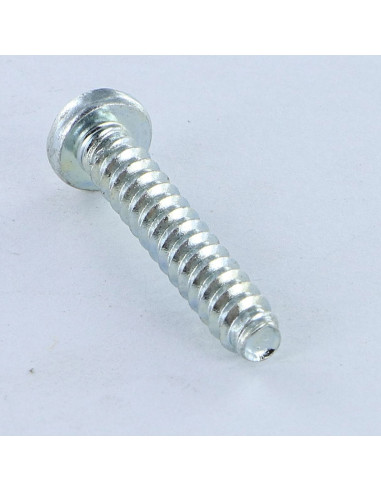 1 x Vite Per Pvc Testa Cilindrica Pozy 4,2 x 1"...