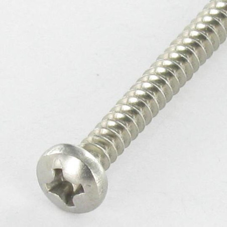 1 x Vite Per Lamiera testa bombata larga Phillips 4,2 x 22 Acciaio Inox A2