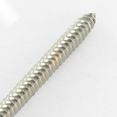 1 x Vite Per Lamiera testa bombata larga Phillips 4,2 x 22 Acciaio Inox A2