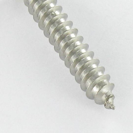 1 x Vite Per Lamiera Di Sicurezza Testa Forata SNAKE EYES 4,8X50 Acciaio Inox A2