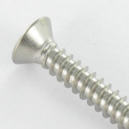1 x Vite Per Lamiera Di Sicurezza Testa Forata SNAKE EYES 4,8X50 Acciaio Inox A2