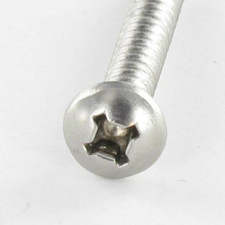1 x Vite Autoperforante Testa Cilindrica Quadrato Phillips 4,8X50 SQ2+PH2 Acciaio Inox A2