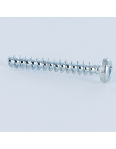 1 x Vite Per Pvc Testa Cilindrica T7 2,5X8...