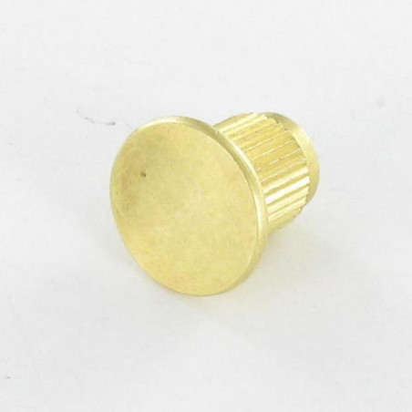 1 x Dado Manicotto Zigrinata Ottone M8 Diametro Della Testa: 20 Lunghezza Sotto La Testa 16