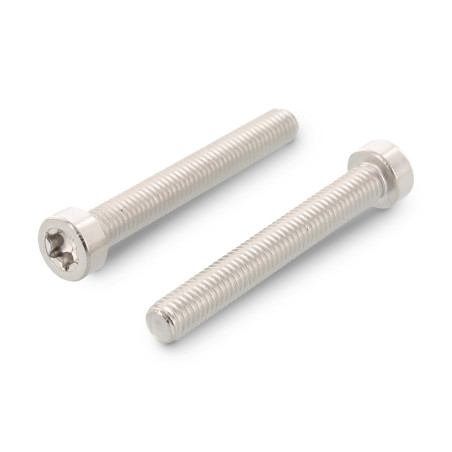 1 x Vite Per Metalli Testa Cilindrica Bassa T8 M2.5X4 Discussione completa Acciaio Inox A2 microviti
