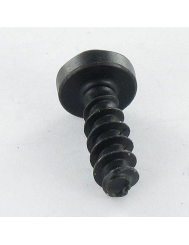 1 x Vite Per Pvc Testa Cilindrica T10 3X10...