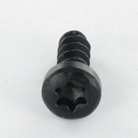 1 x Vite Per Pvc Testa Cilindrica T10 3X10 Acciaio Zincato Nero microviti