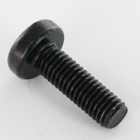 1 x Vite Per Metalli testa bombata larga M4X6 T20 Acciaio Zincato Nero