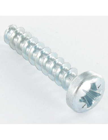 1 x Vite Per Pvc Testa Cilindrica Pozy 6X29...