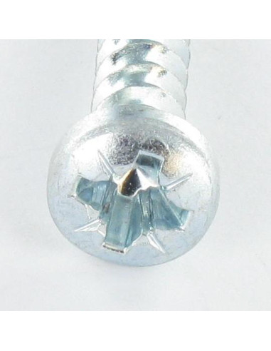 1 x Vite Per Pvc Testa Cilindrica Pozy 6X29...