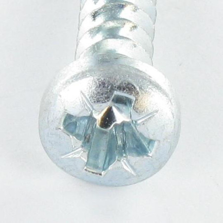 1 x Vite Per Pvc Testa Cilindrica Pozy 6X29 Filetto 40 RUSPER GRIGIO