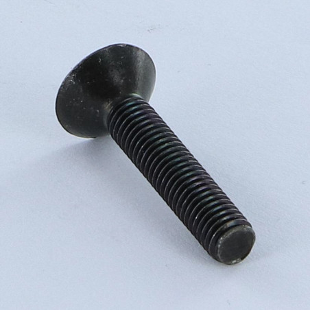 1 x Vite Per Metalli Testa Forata Senza Intaglio M5X27 Acciaio Zincato Nero Diametro Della Testa: 11