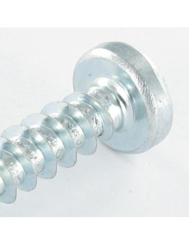 1 x Vite Per Pvc Testa Cilindrica Pozy 6X29...
