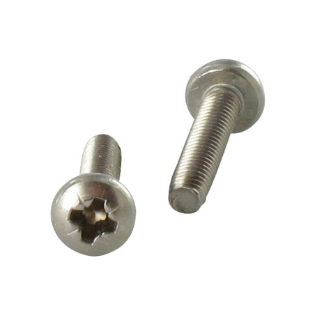 1 x Vite Autofilettante Testa Cilindrica Bombata M4X16 Pozi PZ5 Acciaio Inox A2