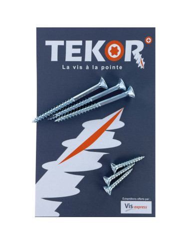 1 x Sacchetto CAMPIONI Viti per legno e...