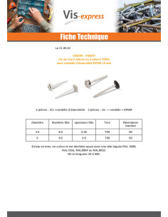 Vite di cresta Testa Forata Bombata T20 Acciaio Inox A2... 2