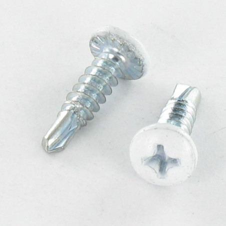 1 x Vite Autoperforante Testa Cilindrica Bombata Phillips 4,8X19 Filetto A Lamiera Zincate Ral9010 Bianco Puro