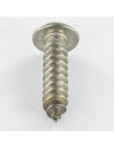 1 x Vite Per Lamiera Di Sicurezza Acciaio Inox...