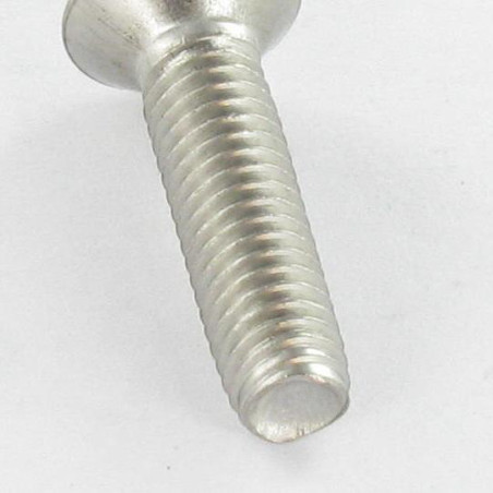 1 x Vite Autofilettante Acciaio Inox A2 Testa Forata Pozi PZ6 M6X12