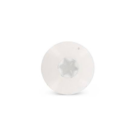 1 x Vite per facciata T20 5,5X35 Diametro Della Testa: 12.3 Acciaio Inox A2 Ral9010 Bianco Puro