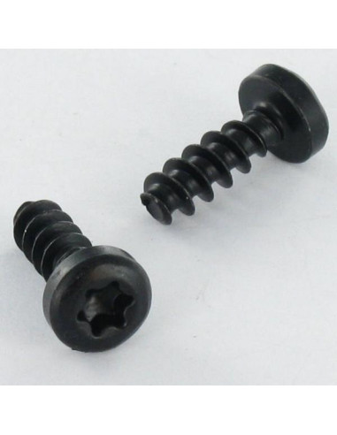 1 x Vite Per Pvc Testa Cilindrica T20 4x12...
