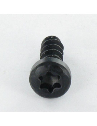 1 x Vite Per Pvc Testa Cilindrica T20 4x12...