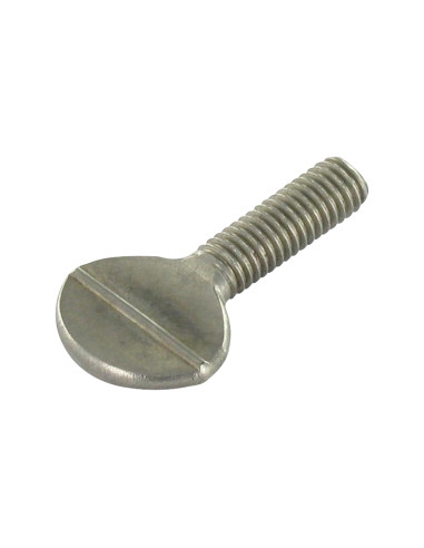 1 x Vite VIOLINO M6X16 Acciaio Inox A2