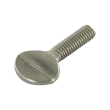 1 x Vite VIOLINO M6X16 Acciaio Inox A2