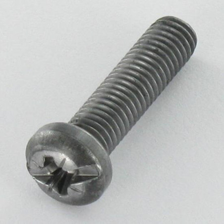 1 x Vite Per Metalli Testa Cilindrica Pozy Con Intaglio M5X20 Acciaio Grezzo