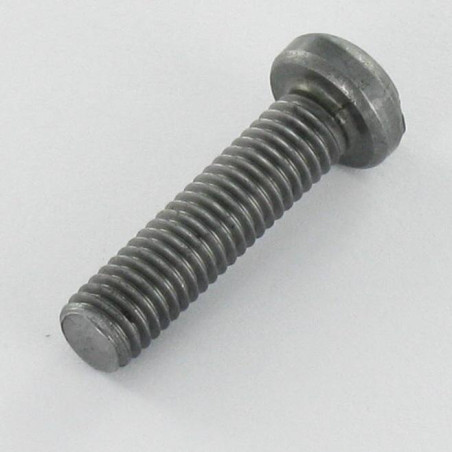 1 x Vite Per Metalli Testa Cilindrica Pozy Con Intaglio M5X20 Acciaio Grezzo