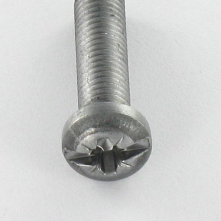 1 x Vite Per Metalli Testa Cilindrica Pozy Con Intaglio M5X20 Acciaio Grezzo