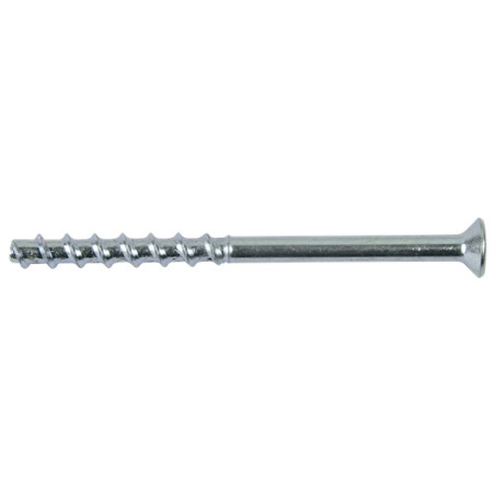1 x Vite Per Calcestruzzo Testa Forata Torx 5X40 Zincate