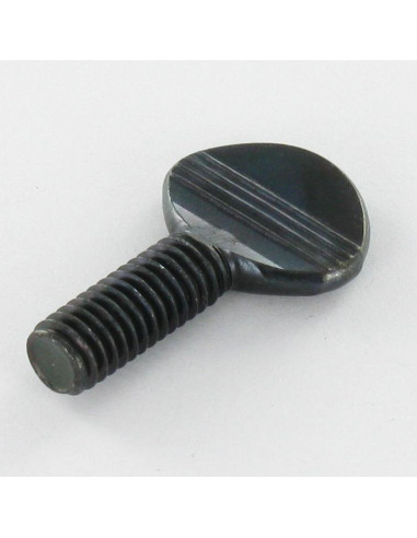1 x Vite VIOLINO M6X15 Acciaio Zincato Nero