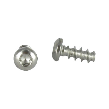 1 x Vite Per Pvc testa bombata larga 5X12 T20 Acciaio Inox A2