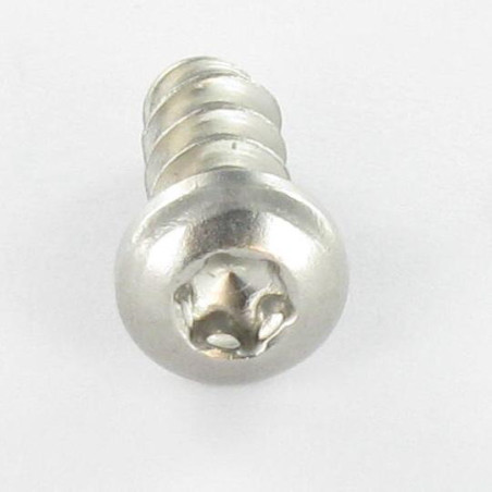 1 x Vite Per Pvc testa bombata larga 5X12 T20 Acciaio Inox A2