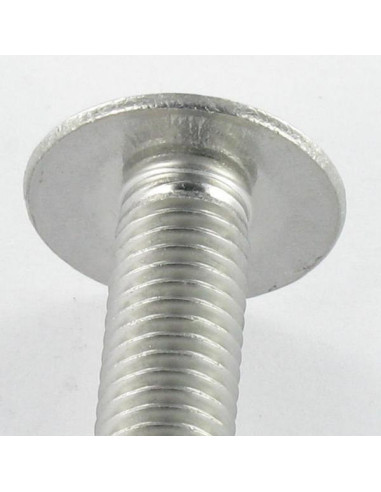 1 x Vite Testa Poelier Larga Con Intaglio...