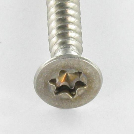 1 x Vite Per Lamiera Testa Forata 3,9X19 T15 Acciaio Inox A2