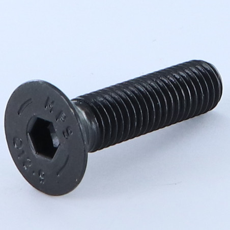 1 x Vite Per Metalli Testa Forata Con Esagono Incassato M10X40 Classe 12.9 Chiave Esagonale Da 6 Acciaio Grezzo