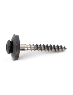Vite di cresta Testa Forata Bombata T20 Acciaio Inox A2... 2