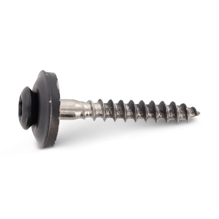 1 x Vite di cresta Testa Forata Bombata T20 Acciaio Inox A2 Ral7016 Grigio Antracite 4,5X25 Rondella Di Tenuta Con