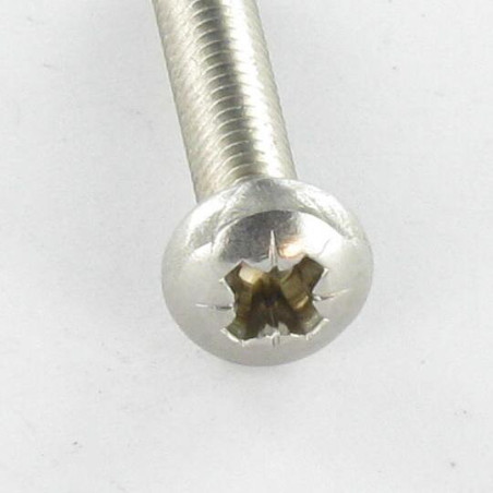1 x Vite Autofilettante Testa Cilindrica Bombata M3X6 Pozi PZ4 Acciaio Inox A2 microviti